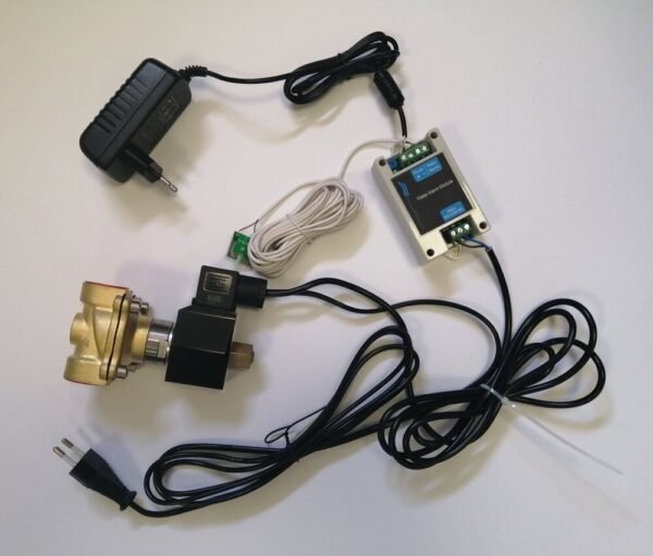 Vandens Nuotėkio Jutiklis 1'' HS025